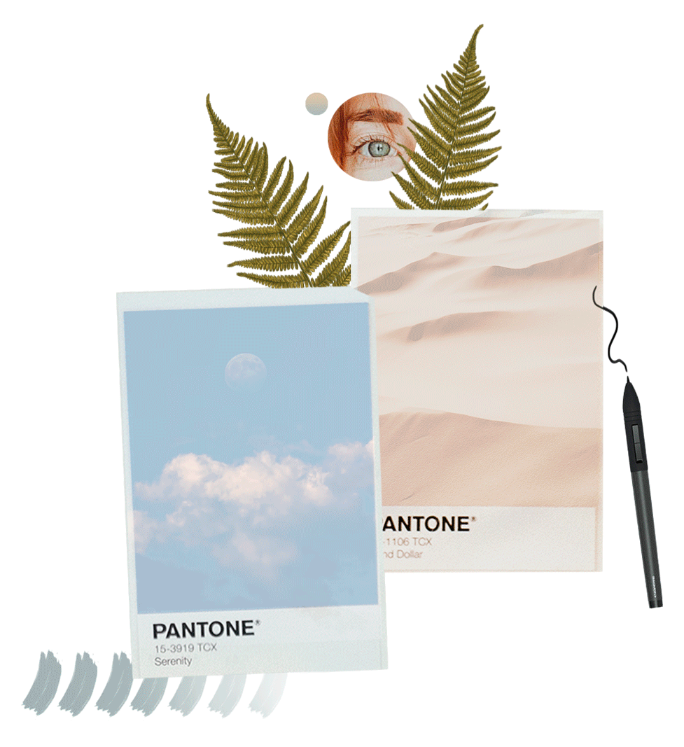 services renard graphique