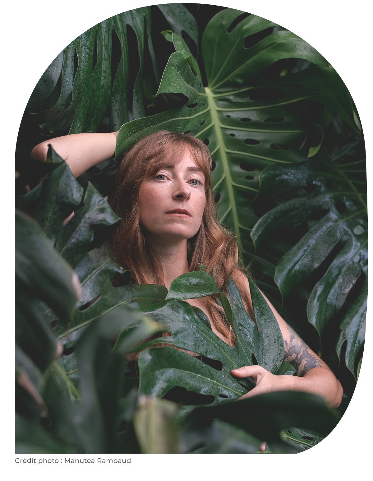 marion-graphiste-renard-graphique feuillage